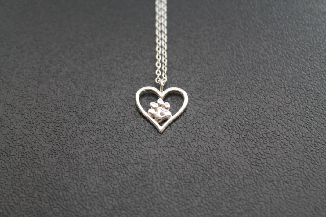 Collar de Plata con Estampado de Patas y Corazón y Circonitas